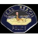 SEAL BEACH, CA POLICE DEPARMENT PATCH PIN